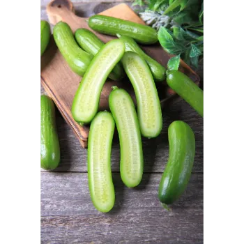 Cucumber  (2)-7567334-50540.webp